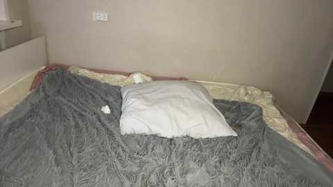 spiritcouple Cam Show from 2025-09-25 17:17