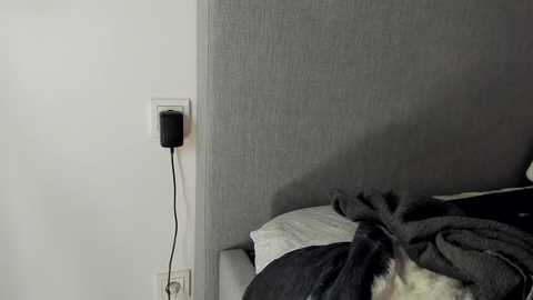 rachel_rey Cam Show from 2025-09-24 10:39