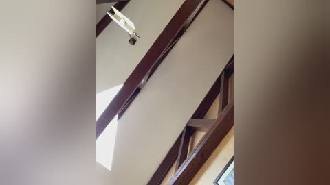 3hotandyoung3 Cam Show from 2025-10-08 09:51