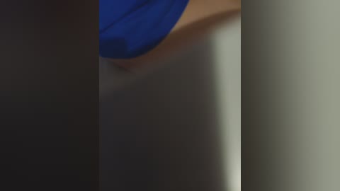 milena_0 Cam Show from 2025-11-25 04:54