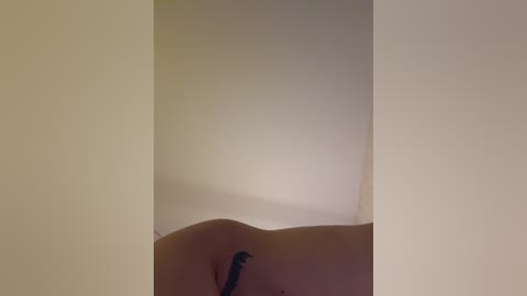 _maybebaby_ Cam Show from 2025-11-14 14:39