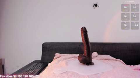 elimeowy Cam Show from 2025-12-02 12:42