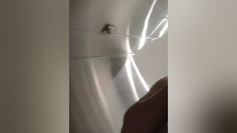 alana_69 Cam Show from 2025-11-06 00:19