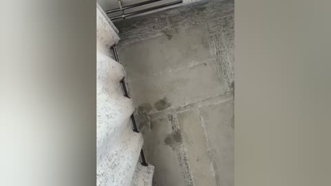 slimcateee Cam Show from 2025-11-06 09:32