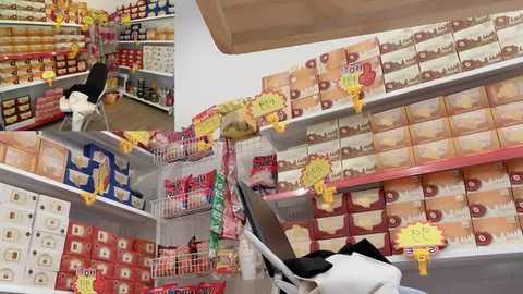 sayuri_satou Cam Show from 2025-12-15 06:42