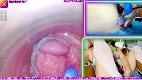 marybrook1 Cam Show from 2025-11-06 01:00