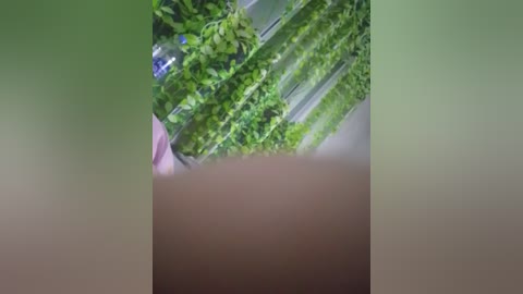 katya9194oleg Cam Show from 2025-11-09 00:27